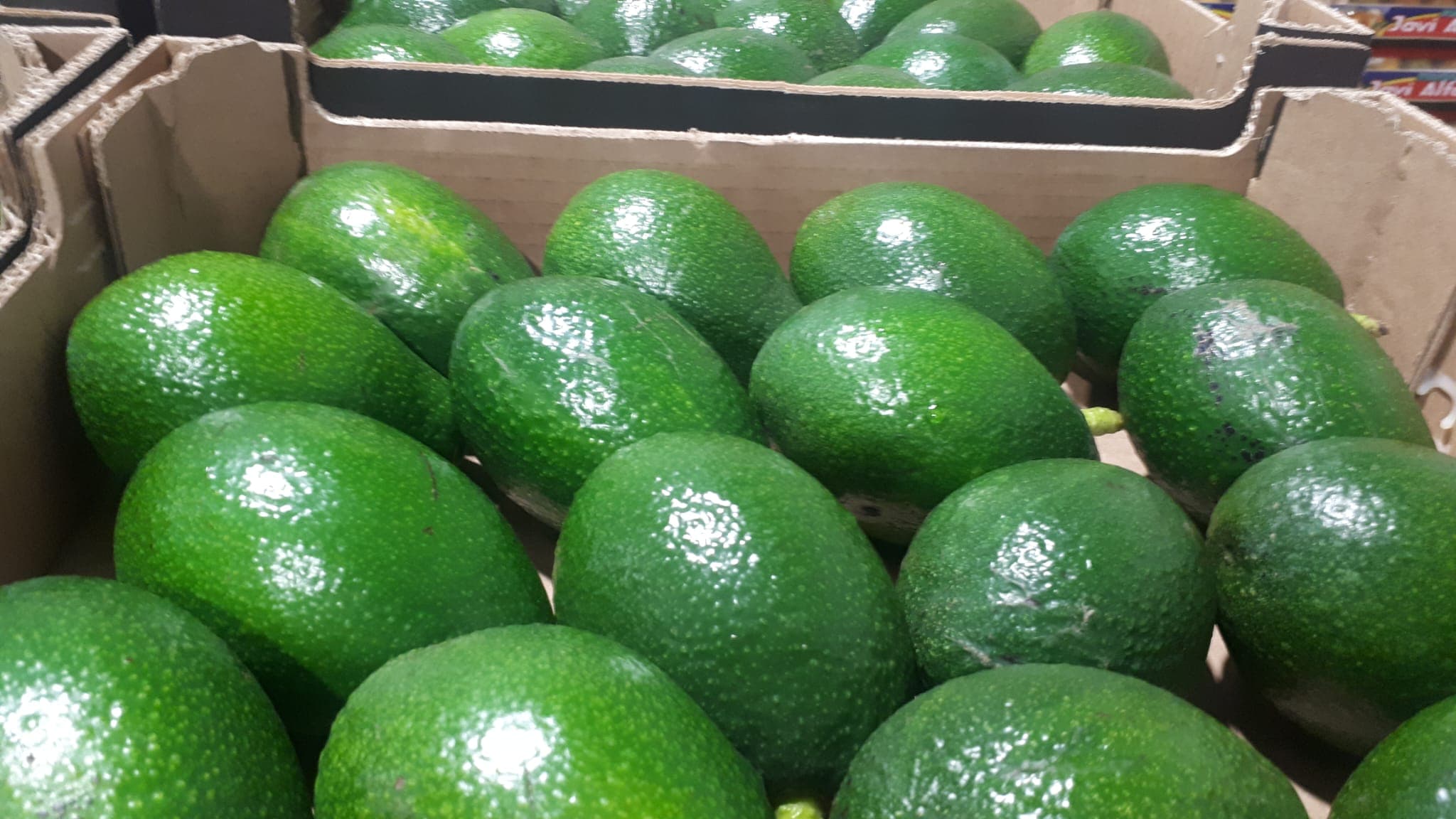 Caja con aguacates verdes brillantes expuestos en lineal de venta