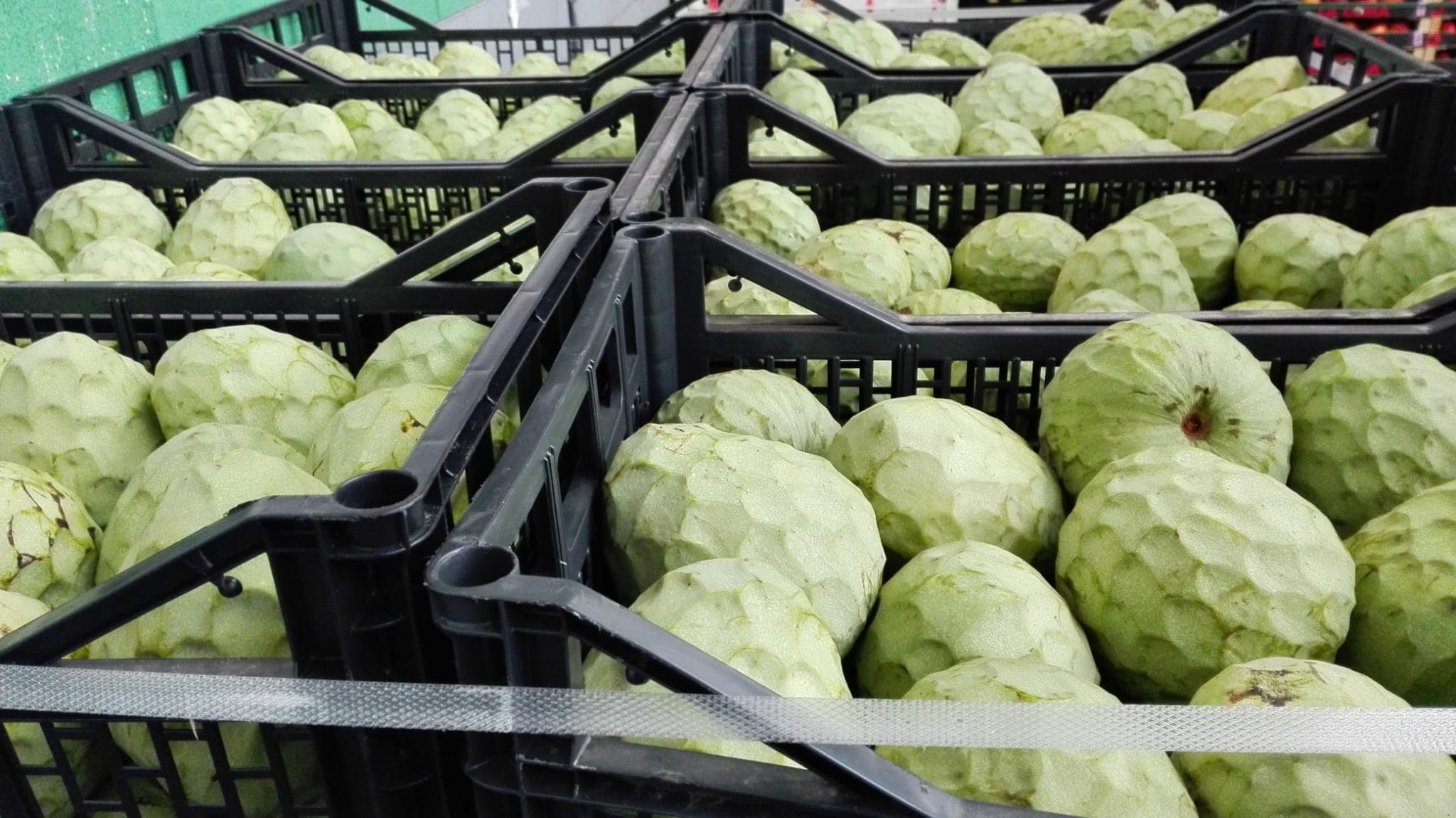 Varias cajas negras llenas de chirimoyas frescas preparadas para expedición