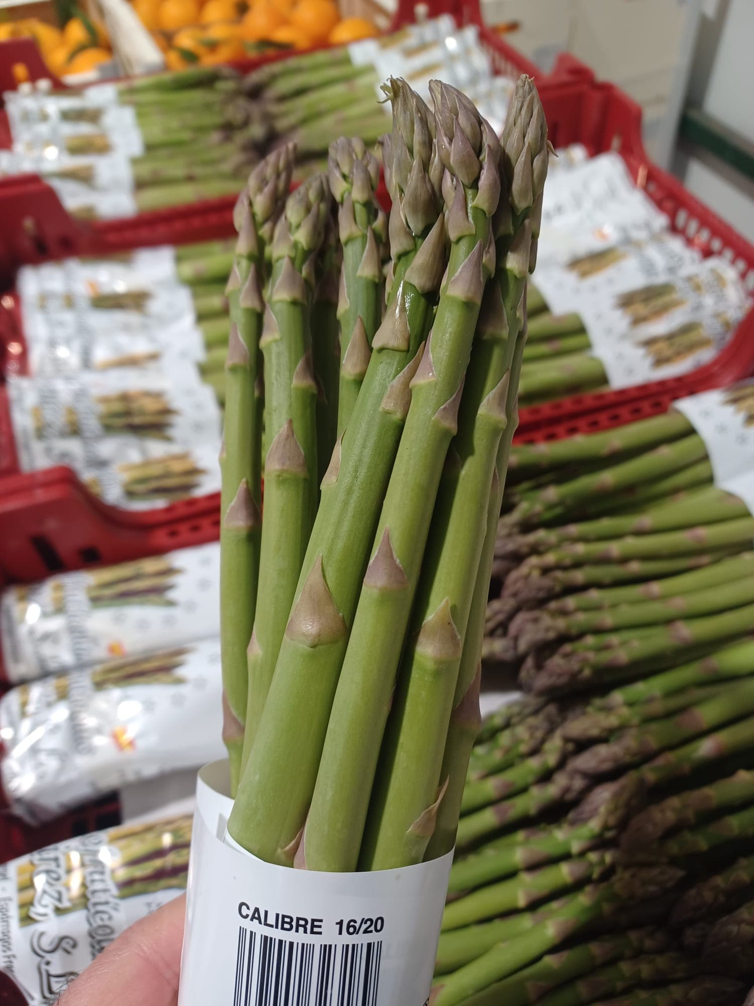 Primer plano de un manojo de espárragos verdes con etiqueta de calibre 16-20